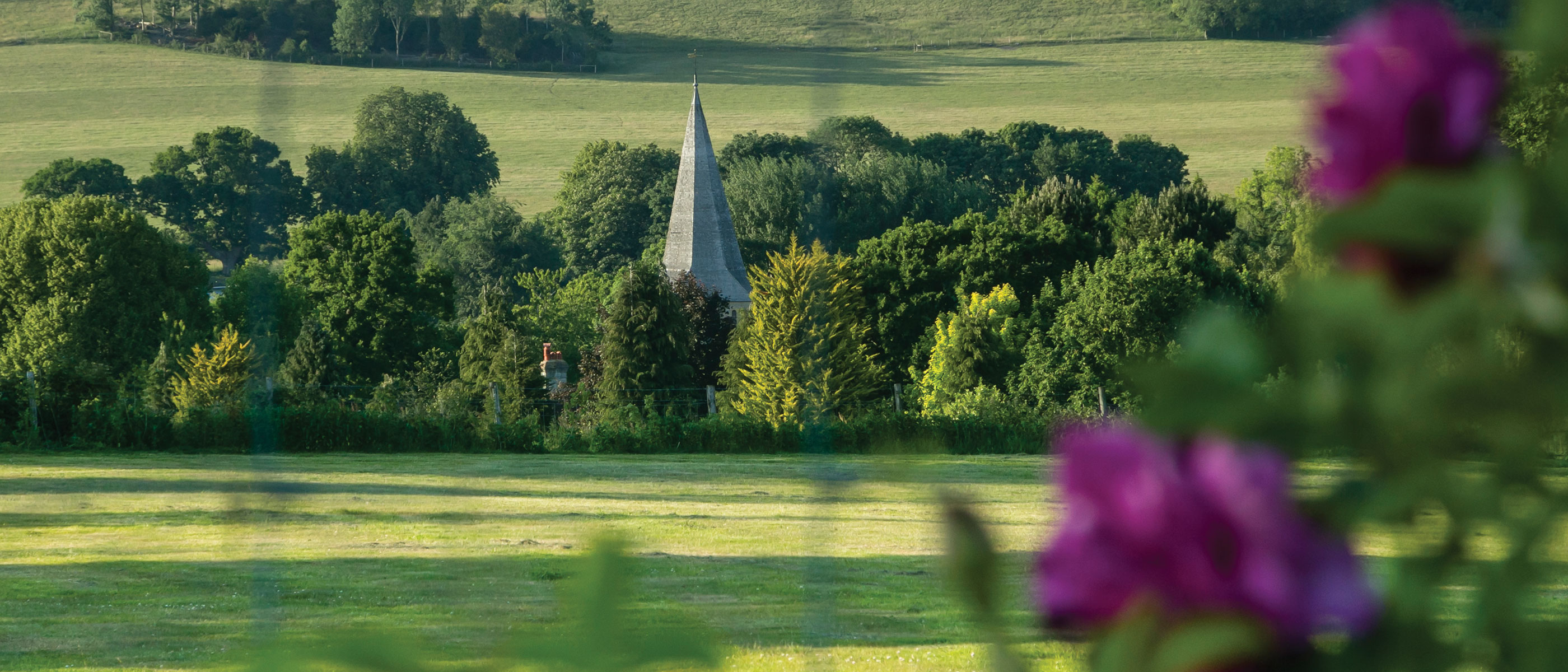 Beautiful holiday cottage with amazing views available for 4 guests in Shere near Surrey