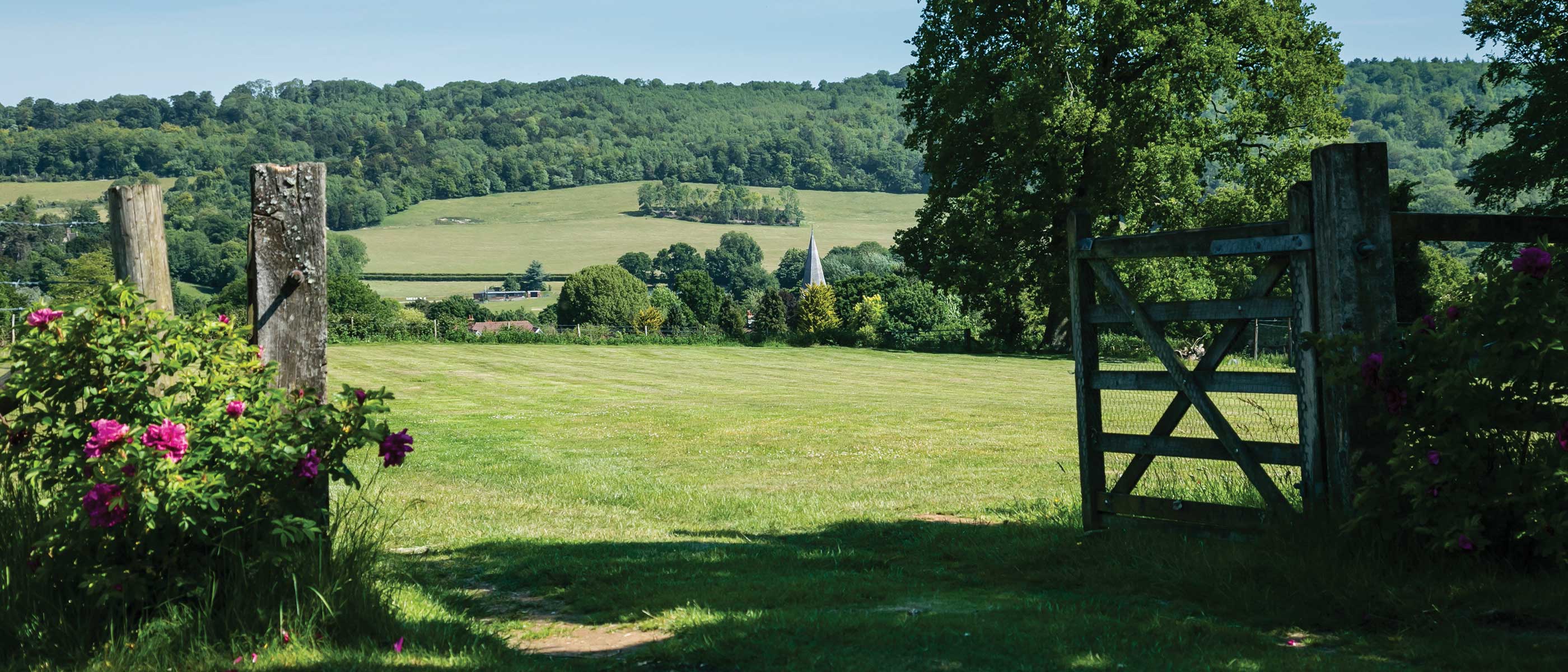 Beautiful holiday home in Shere Surrey