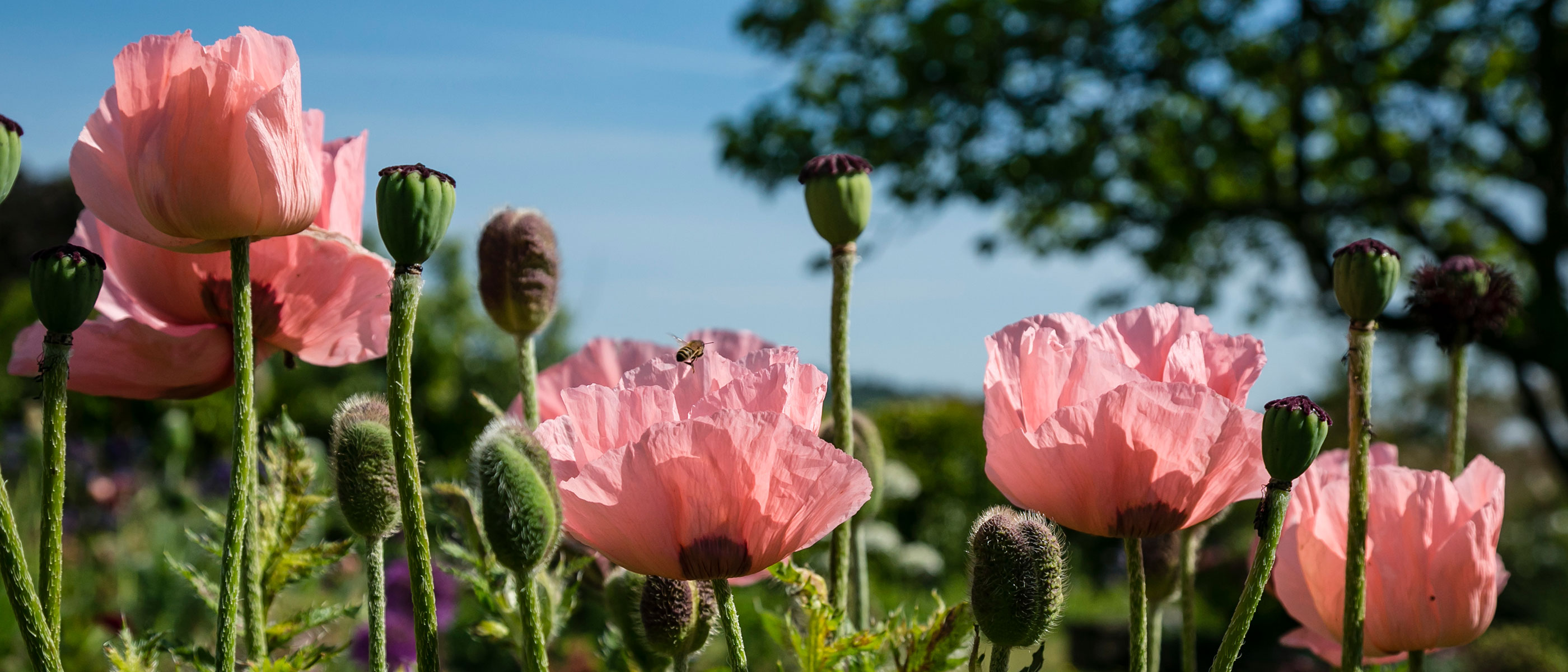 Reviews of Shere holiday home for large group